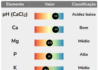 Interpretação da análise de solo